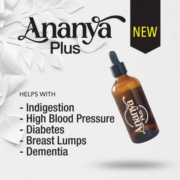 Ananya Plus - Image 3