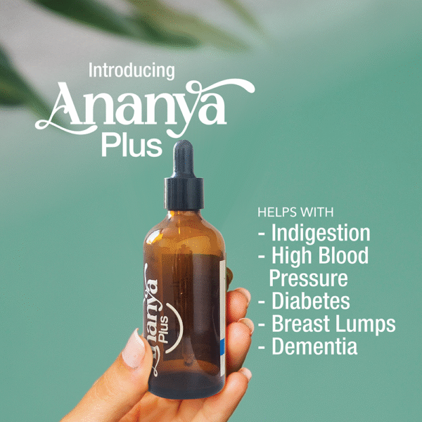 Ananya Plus - Image 2